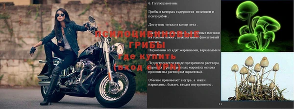 бутират Абинск