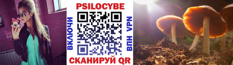 блэк спрут сайт  Усть-Кут  Псилоцибиновые грибы мицелий 